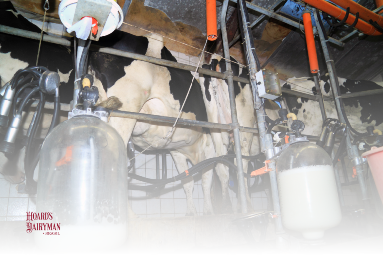Revista Hoard’s Dairyman Brasil – Fevereiro 2025: O Futuro da Pecuária Leiteira