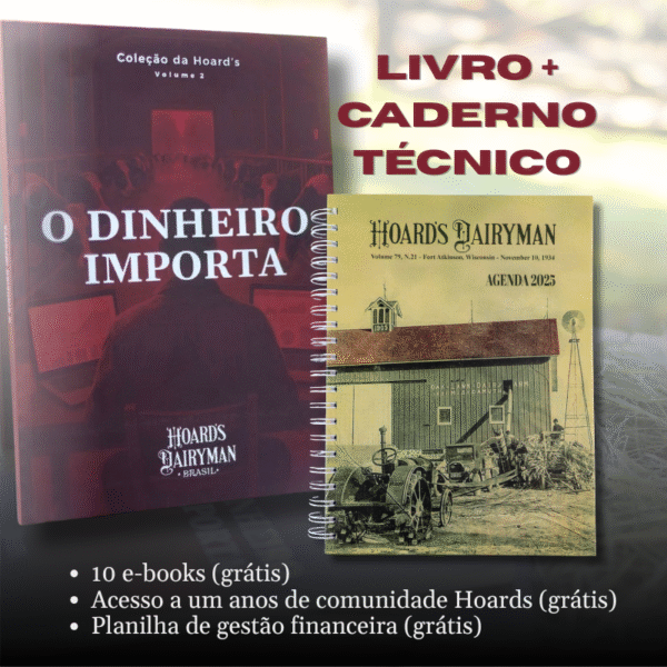 O Dinheiro Importa + Combo de Lançamento