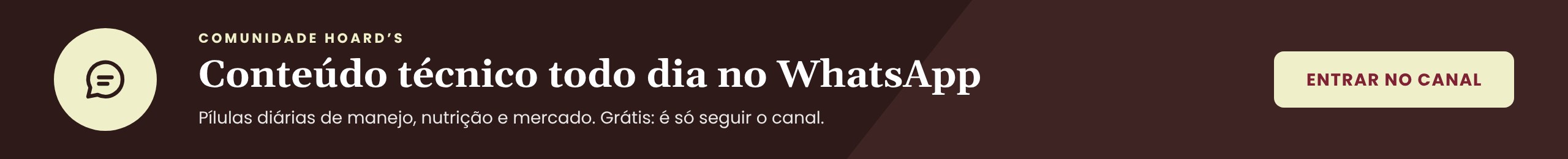 Comunidade Hoard's: canal grátis no WhatsApp com conteúdo técnico todo dia
