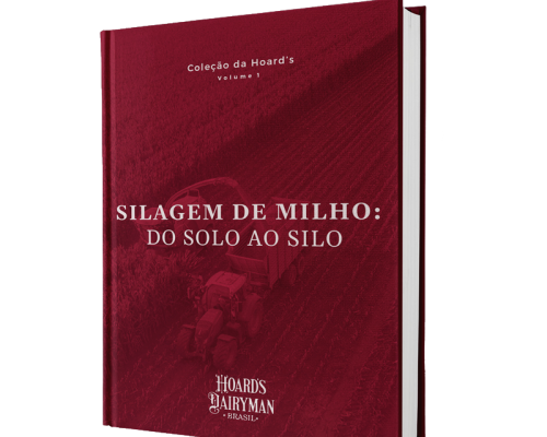 03_sem_fundo